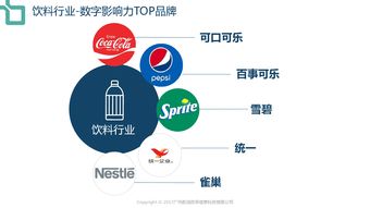 199it 互聯(lián)網(wǎng)數(shù)據(jù)中心的卓越服務(wù)與價值