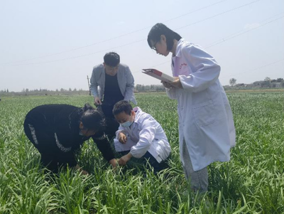 入“鏈”問診，精準(zhǔn)賦能 市檢測站發(fā)力服務(wù)農(nóng)業(yè)產(chǎn)業(yè)鏈，助推農(nóng)藥貿(mào)易高質(zhì)量發(fā)展